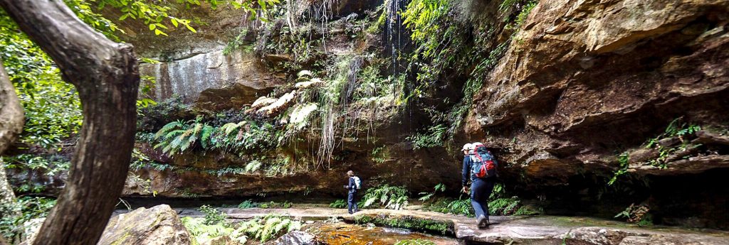 Grand Canyon Blackheath Blue Mountains
