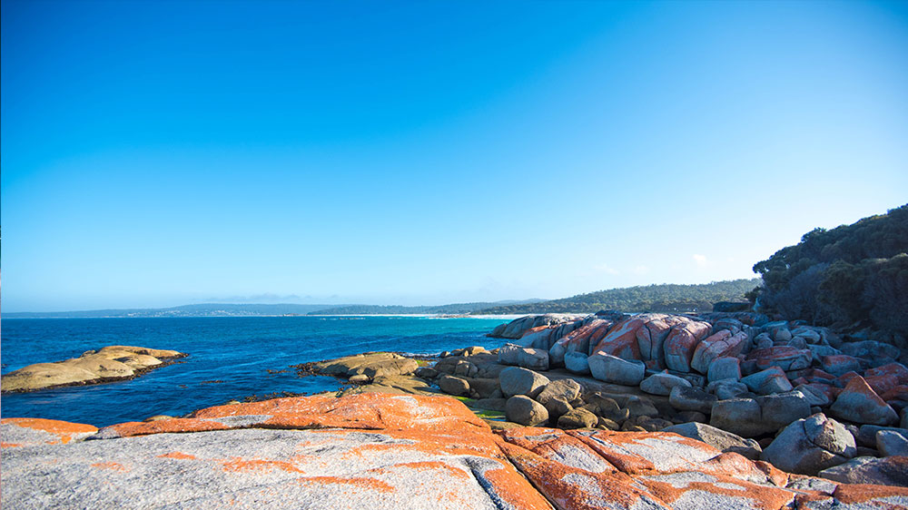 Bay of Fires est pour nous une des plus belles plages australie et de Tasmanie