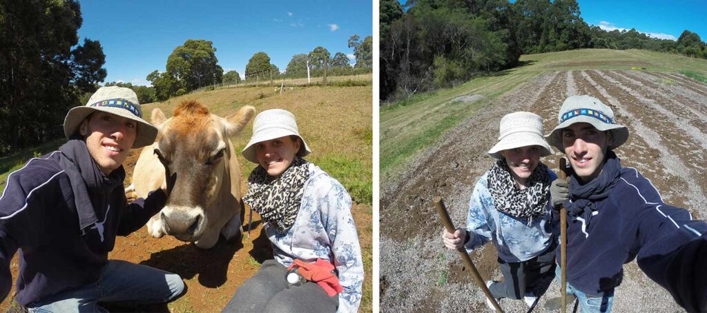 Couple français en Australie travaillant en ferme HelpX