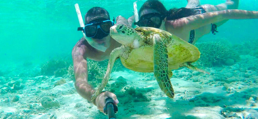 Couple snorkeling grande barriĂšre de corail