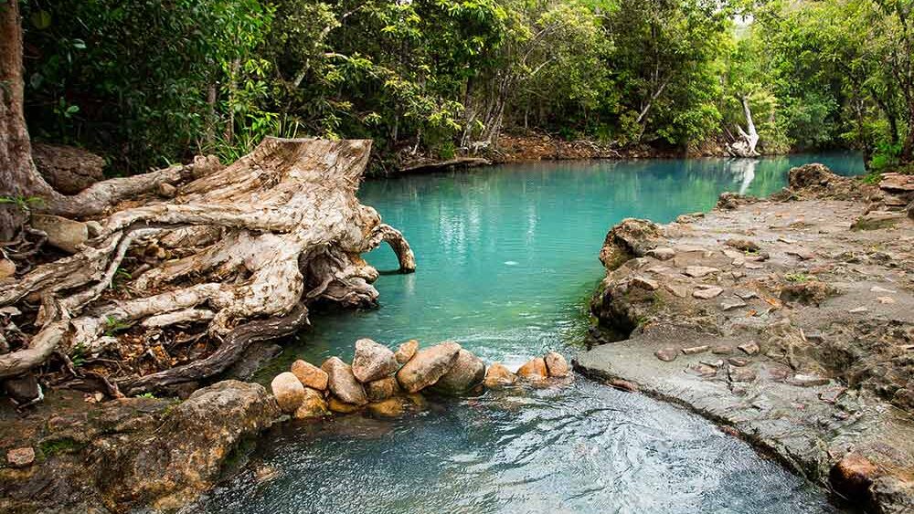 Cardwell Spa Pool à Mission Beach
