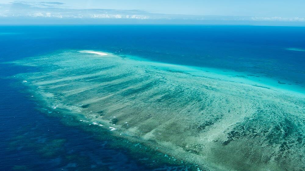survol de la grande barrière de corail à cairns