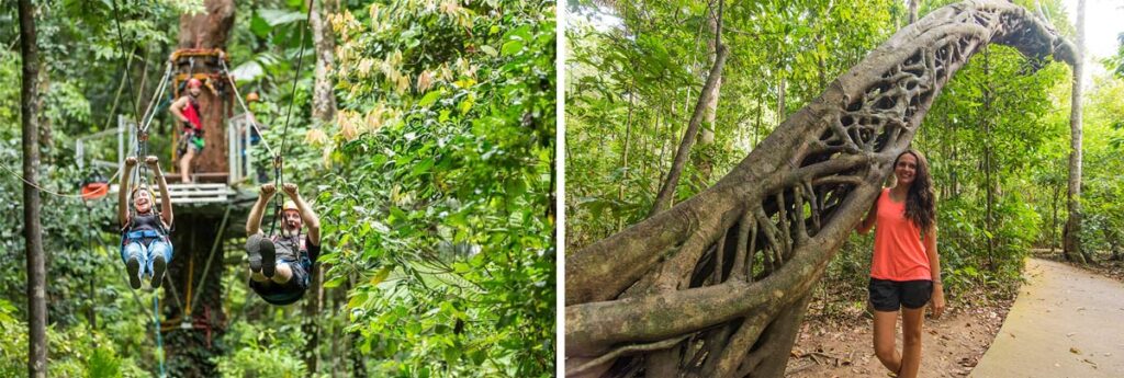 Cape Tribulation activités