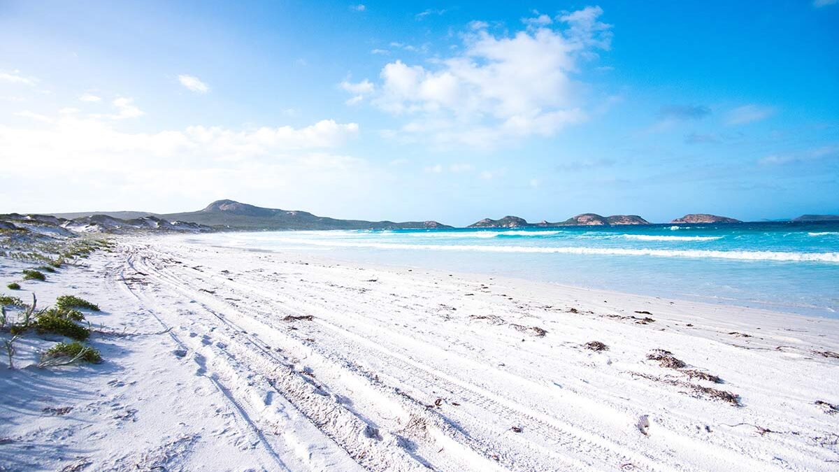 lucky bay plage kangourous