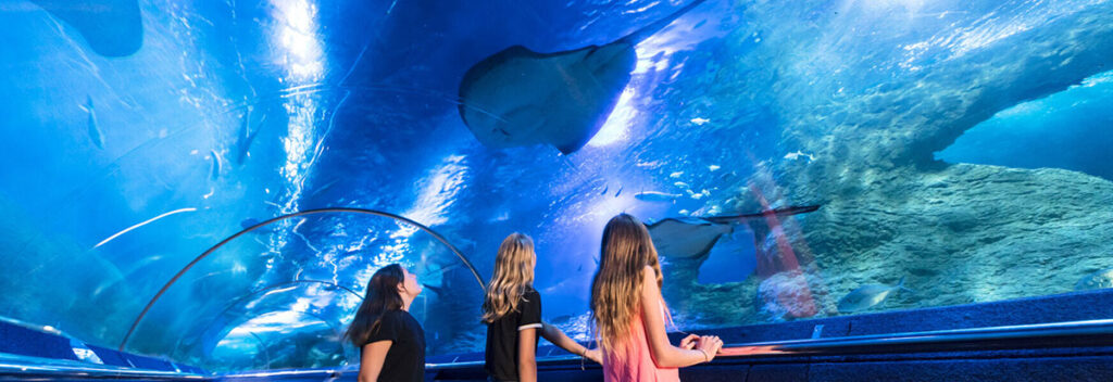 aquarium western australia guide perth bon plan